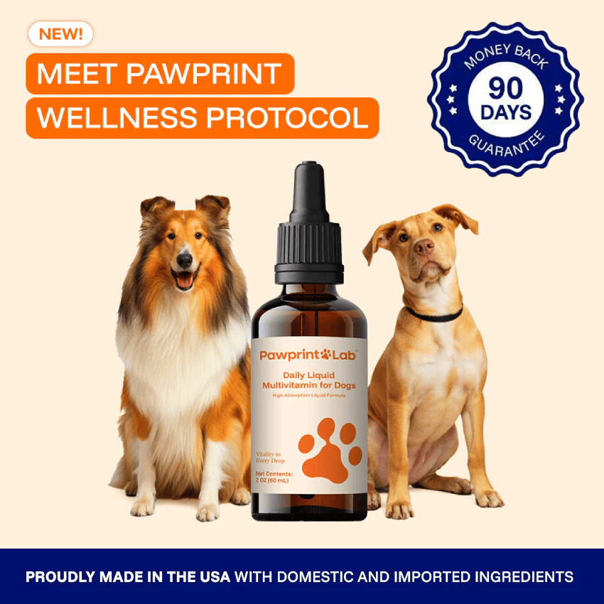 Pawprint Wellness Protocol Supplement